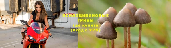 трава Алексеевка