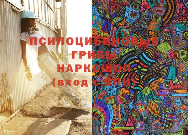 прущий лед Алзамай